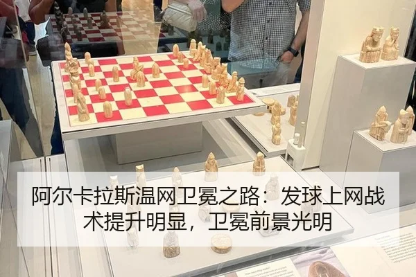 a-er-ka-la-si-wen-wang-wei-mian-zhi-lu-fa-qiu-shang-wang-zhan-shu-ti-sheng-ming-xian-wei-mian-qian-jing-guang-ming-3-863.jpg