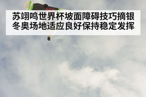 苏翊鸣世界杯坡面障碍技巧摘银 冬奥场地适应良好保持稳定发挥